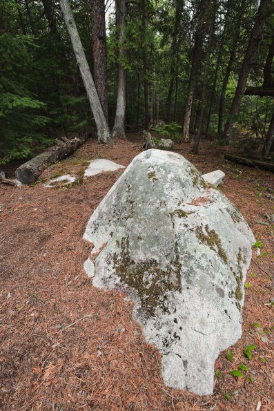 Rock and Cedars