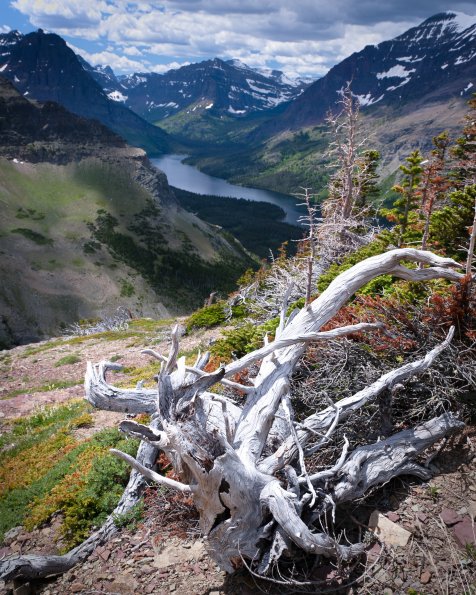 Two Medicine Lake
