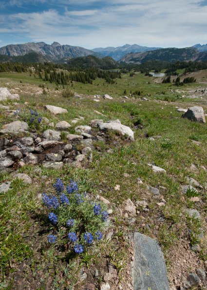 Columbine Pass