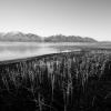 Ninepipe Reservoir
