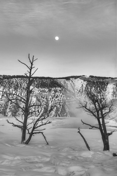 Moonrise