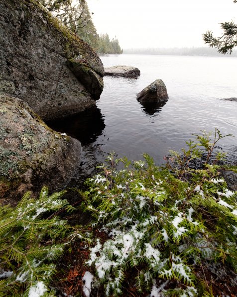 Oyster Lake