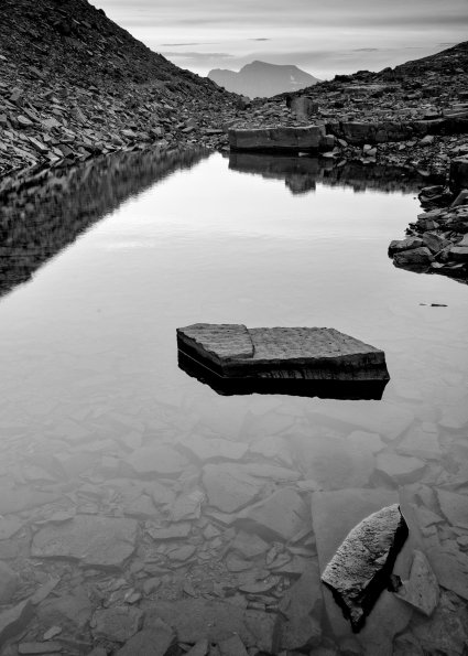Pond
