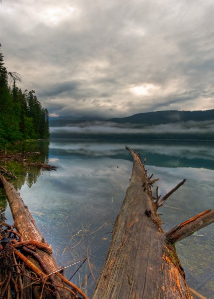 Early Morning Fog