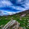 Mount Oberlin Trail