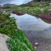 Pond