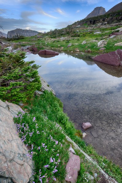 Pond
