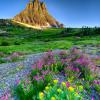 Hanging Gardens