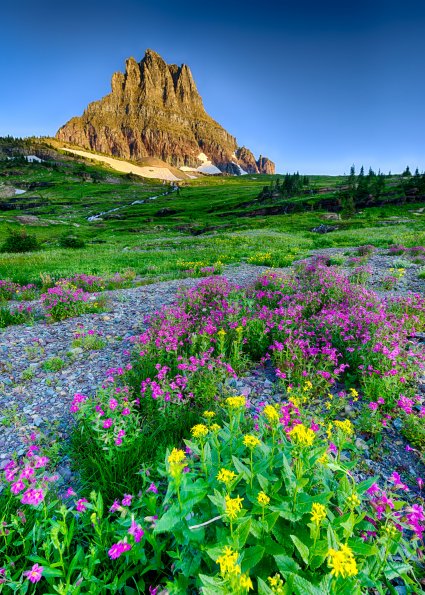 Hanging Gardens