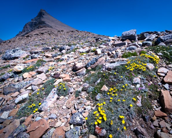 Flinsch Peak