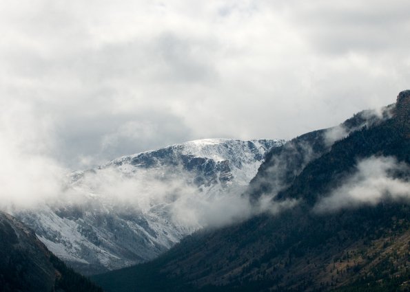Fall Snow