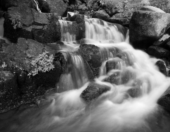 Cascade