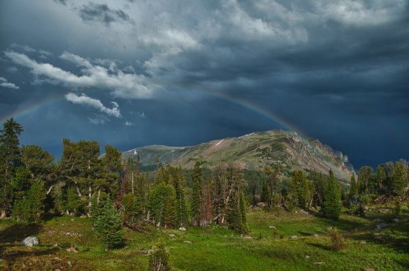 Rainbow