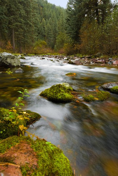 Rattlesnake Creek