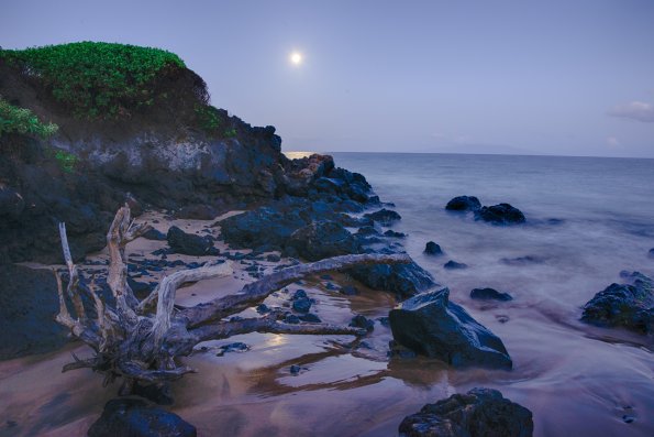 Moonset and Driftwood