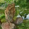Pond and Rocks