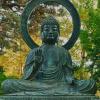 Buddha