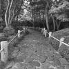 Cobblestone Path